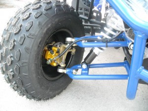 DSCN8654